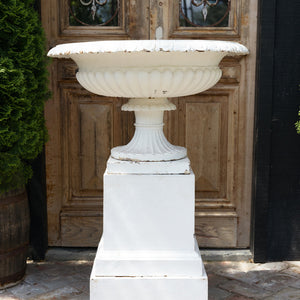 19th Century English Cast Iron Tazza Urn on Pedestal