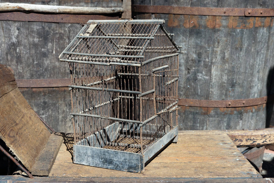 Antique French Wooden Birdcages