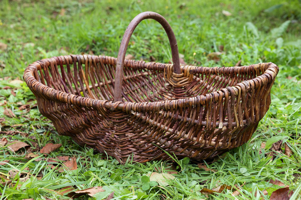 French Wicker Market Trug - No 5