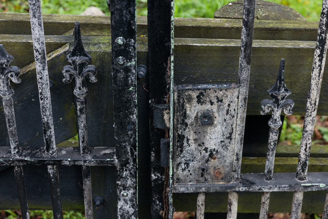 Large Antique French Wrought Iron Entrance Gates