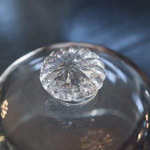 French Antique Glass Dome Cloche - H