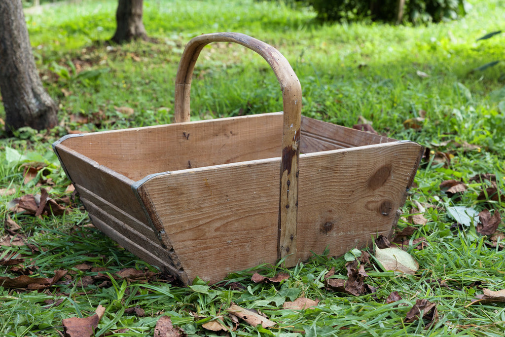 Vintage French Wooden Trug - No 13