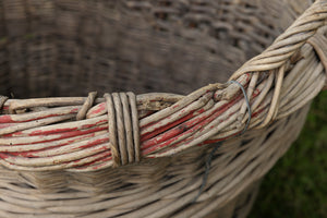 French Champagne Grape Picking Baskets