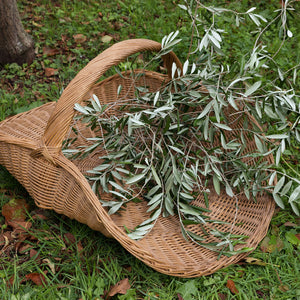 Gorgeous French XL Flower Basket - No 3