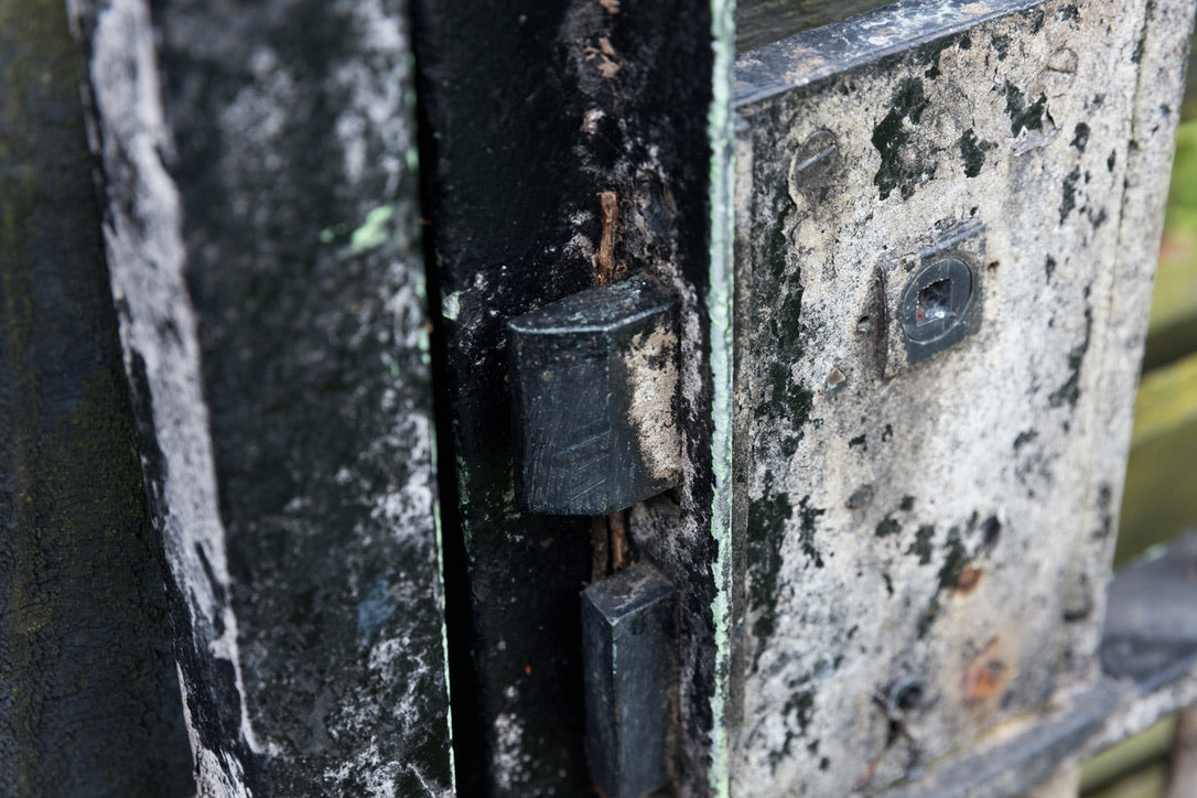 Large Antique French Wrought Iron Entrance Gates