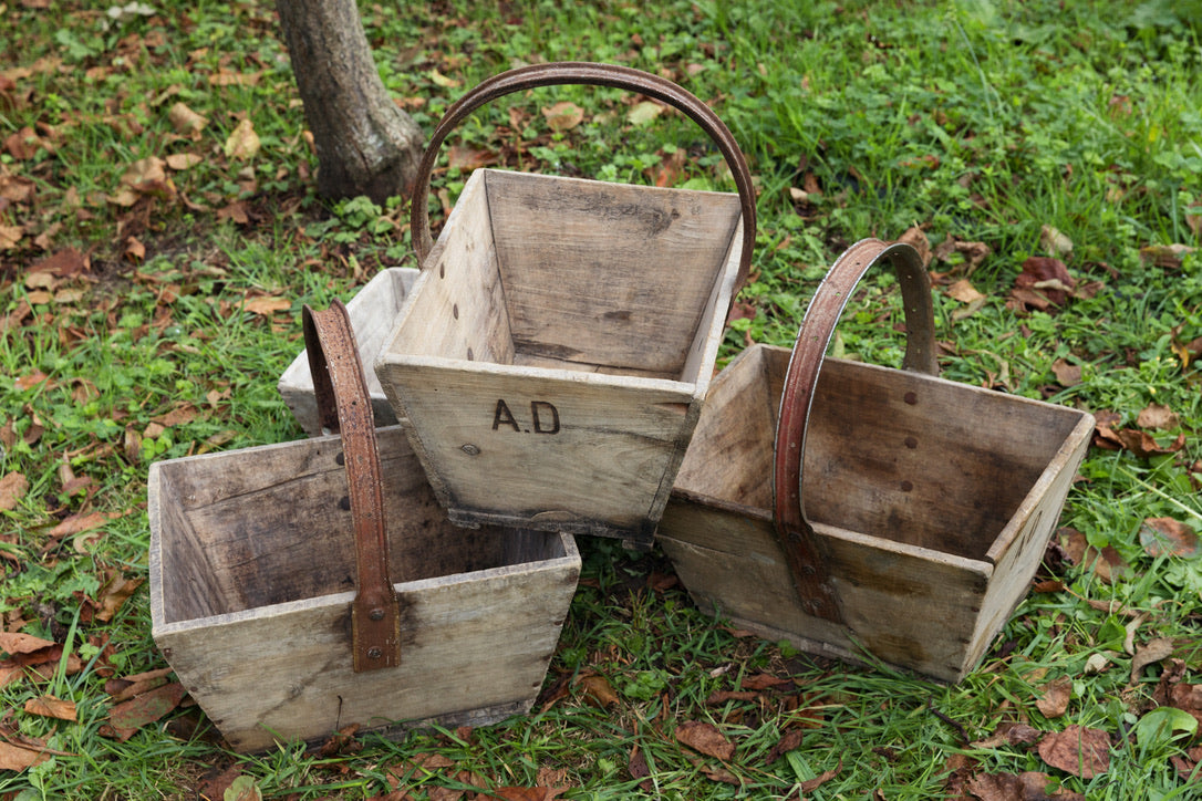 Wooden French Fruit Picking Trugs - No 12
