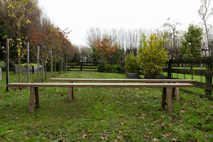 XL Vintage French Oak Bench Seats