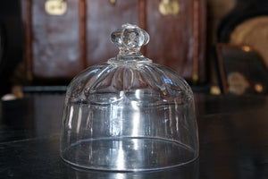 French Antique Glass Dome Cloche - G