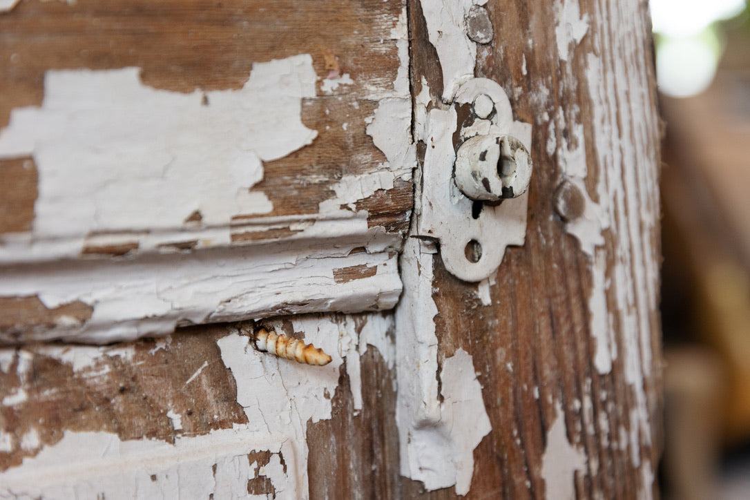 Antique French Entrance Door - White Patina