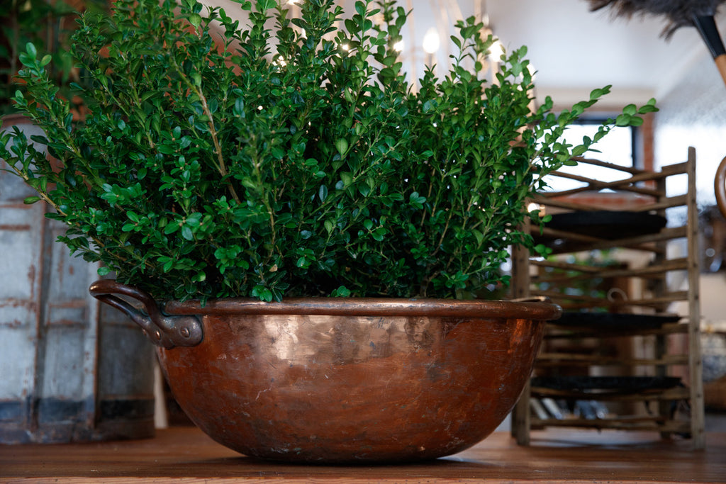 Large French Copper Bowl