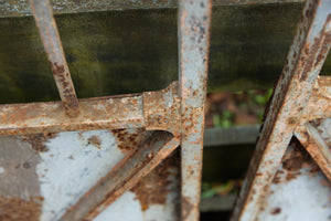 19th Century French Wrought Iron Gates