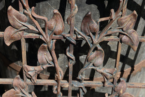 Pair French Wrought Iron Grills - Climbing Vines