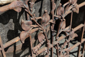 Pair French Wrought Iron Grills - Climbing Vines