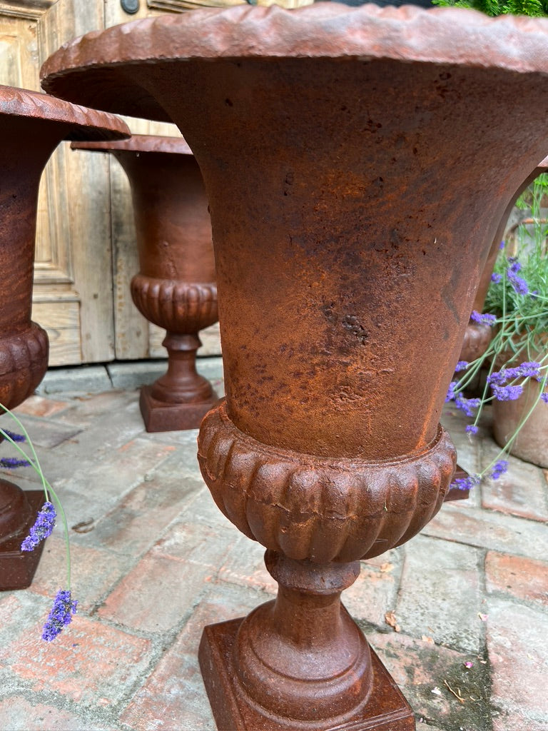 Collection Of French Cast Iron Urns