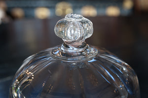 French Antique Glass Dome Cloche - G
