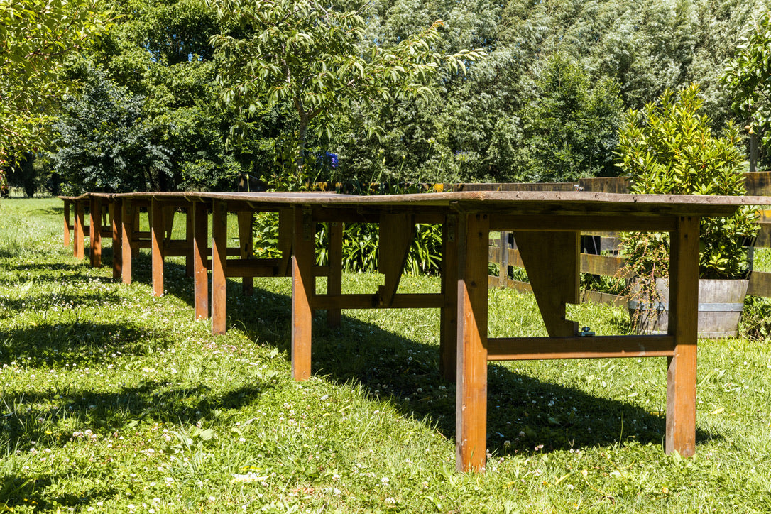 Original French Wooden Grape Harvest Tables