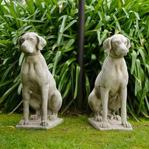 Stone Entrance Dogs