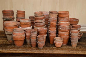 Provence Terracotta Pots