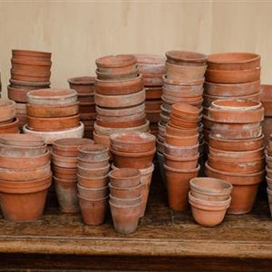 Provence Terracotta Pots