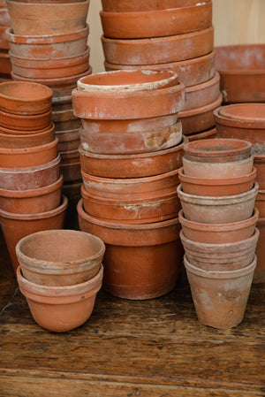 Provence Terracotta Pots