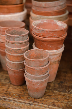 Provence Terracotta Pots