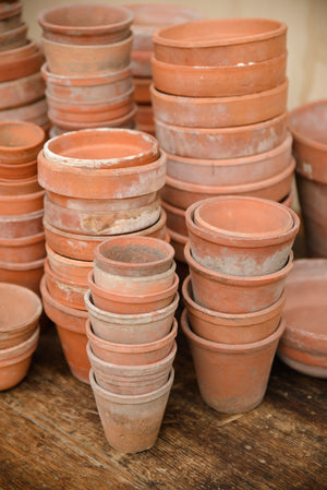 Provence Terracotta Pots