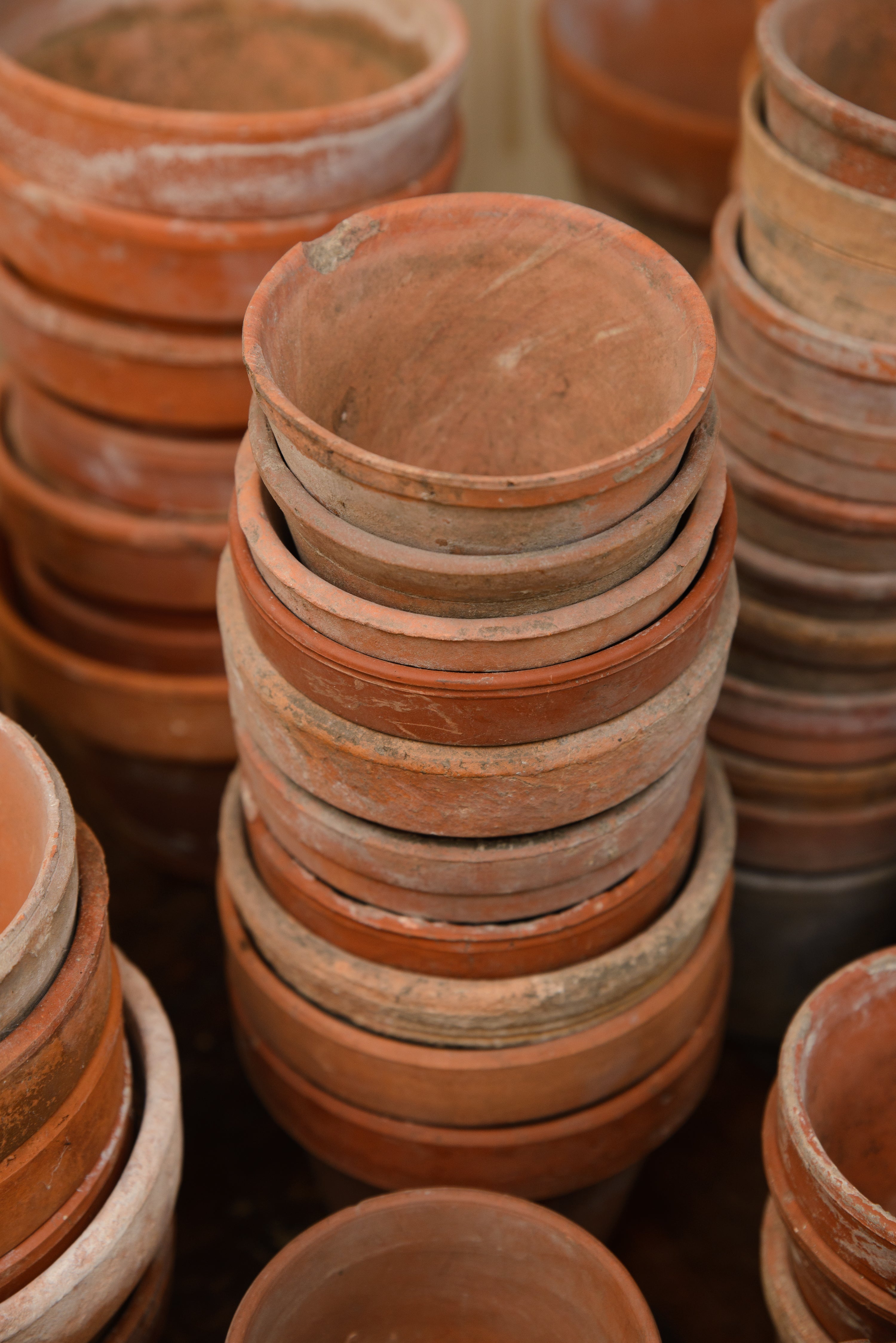 Provence Terracotta Pots