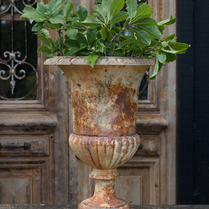 French 19th Century Cast Iron Urn - No 24