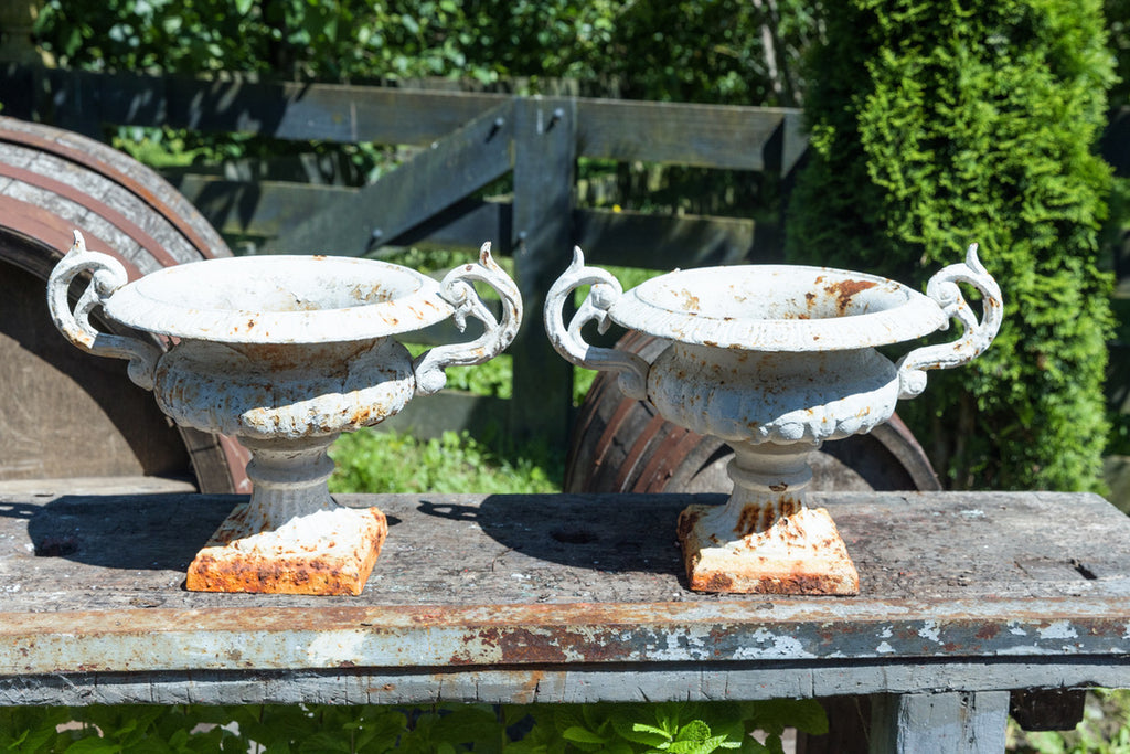 French Cast Iron Urns - White Rusty Patina