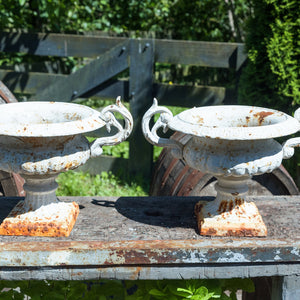 French Cast Iron Urns - White Rusty Patina