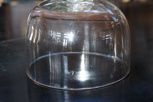 French Antique Glass Dome Cloche- E