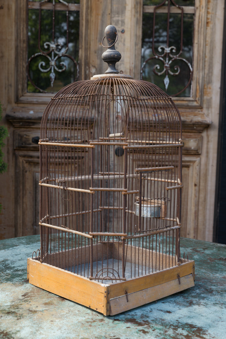 19th Century French Birdcage - No4