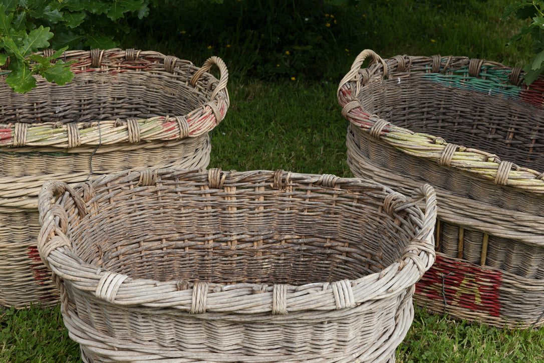 French Champagne Grape Picking Baskets