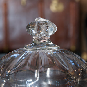 French Antique Glass Dome Cloche - G