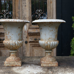 19th Century French Twin Urns