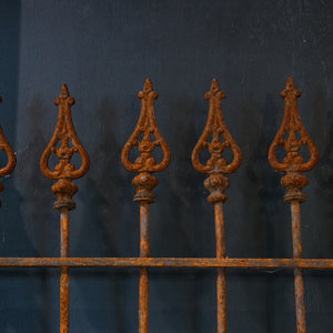 19th Century French Iron Gate