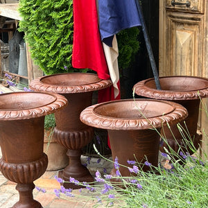 Collection Of French Cast Iron Urns