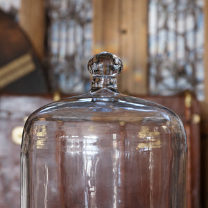 Antique French Patisserie Cloche - B