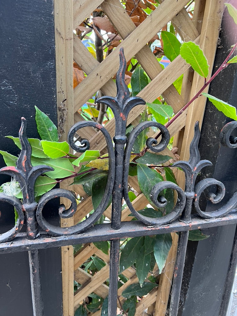 19th Century French Wrought Iron Entrance Gates - No 4