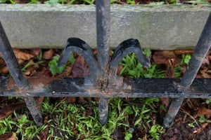 Vintage Belgian Iron Entrance Gates