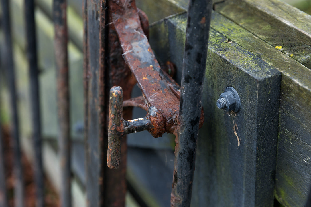 Vintage Belgian Iron Entrance Gates