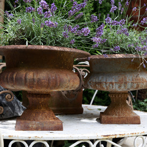 19th Century French Cast Iron Urns - Rusty Patina
