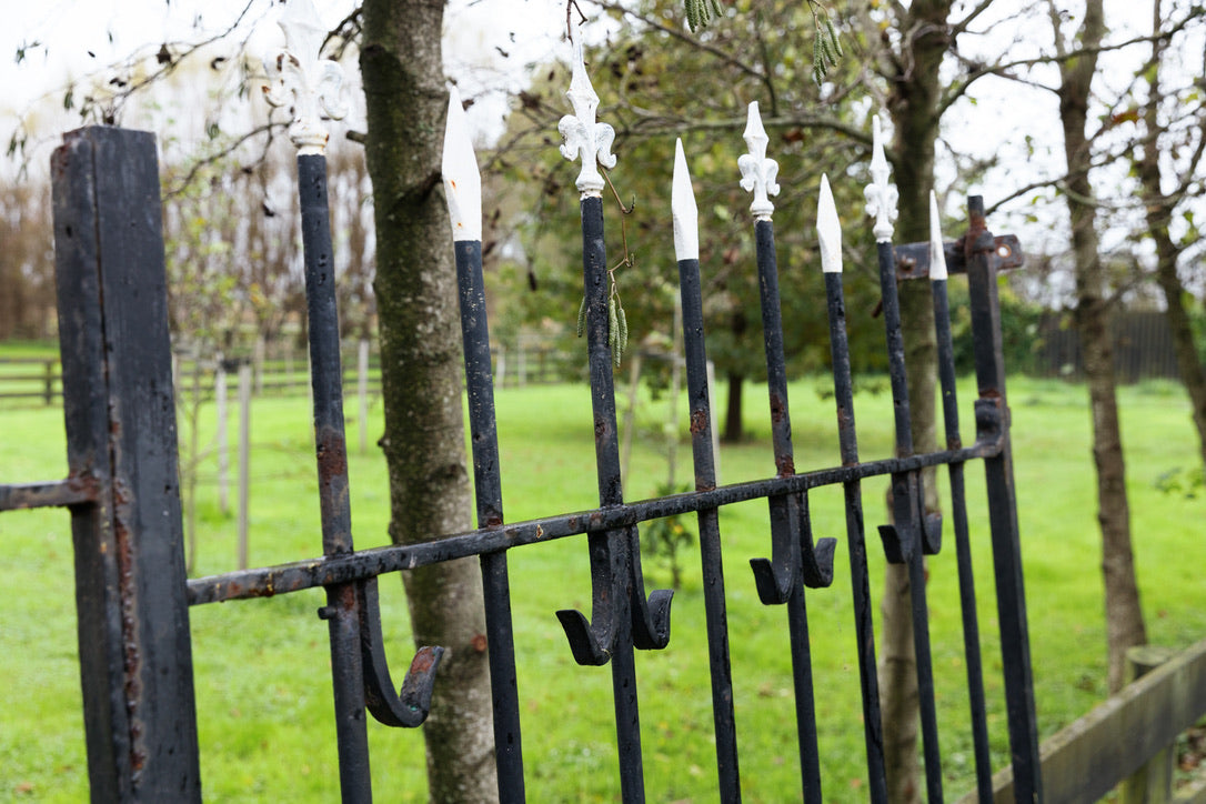 Vintage Belgian Iron Entrance Gates