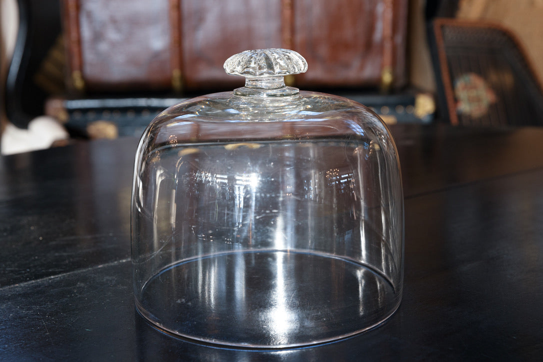 French Antique Glass Dome Cloche - H