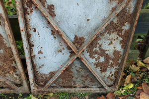 19th Century French Wrought Iron Gates