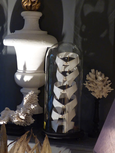 Set of Shirt Collars in Display Case