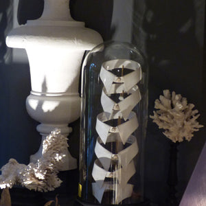Set of Shirt Collars in Display Case