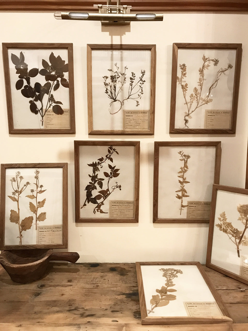 French Botanical Frames