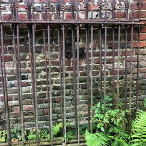19th Century French Wrought Iron Fencing