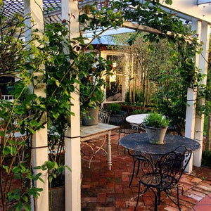 Vintage French Garden Furniture